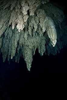 Palau Rock Islands Drucke: Underwater limestone cave formations