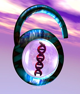 Entschlüsseln des genetischen Codes