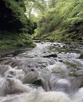 Upland Landscape Photography Drucke: Upland stream
