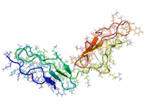 Drucke von Die Komplementenkontrollprotein des Virus Vaccinien. Molekularer Modell der C-Terminal-Portion des Komplementenkontrollproteins aus dem Virus Vaccinia Bilder Datiert 2011 April: Komplementkontrollprotein des Vaccinavirus