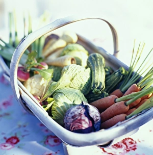 Colorful Vegetable Assortment Drucke: Vegetable basket