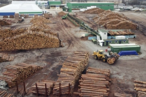 Timber Industry Photos Drucke: View of a timber yard