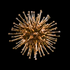 Computer Virus Artwork Drucke: Virus, artwork
