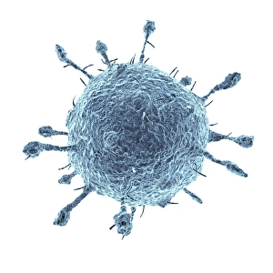Computer Artwork Of Viruses Drucke: Virus, artwork C016 / 9013