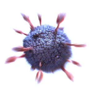 Computer Generated Viruses Drucke: Virus, artwork C016 / 9015