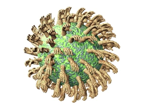 Drucke von Virus ist ein konzeptuelles Computerkunstwerk Bilder Datiert 2006 Dezember: Wahrnehmung eines Viren mit Händen