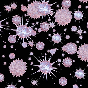 Medical Microbiology Images Drucke: Viruses