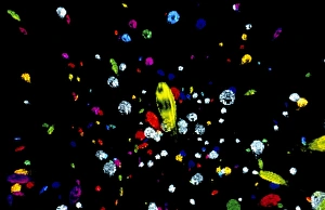 Science Space Images Drucke: Visualisation of primordial quark / gluon plasma