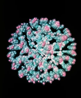 Drucke von Struktur des Quarks im Uran-Kern. Computer-Visualisierung des Kerns eines Uranatoms. Die häufigste Isotopform, Uran-238, besteht aus 92 Protonen und 146 Neutronen Bilder Datiert 1995 Februar: Visualisierung der Quarkstruktur des Urans.