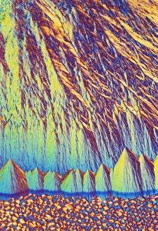 Polarised Light Microscopy Drucke: Vitamin B7 crystals, light micrograph