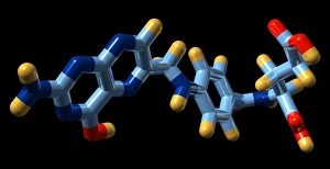 Drucke von Vitamin B9, molekular Modell. Die chemische Formel für Vitamin B9, auch als folsäure oder folat bekannt ist C19.H19.N7.O6 Bilder Datiert 2008 Januar: Vitamin B 9, molekularer Modell
