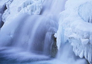 Frozen Waterfall Drucke: Wapta Falls, Canada