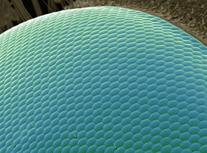 Compound Eye SEM Drucke: Wasp eye, SEM