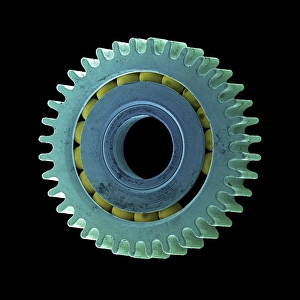 Scanning Electron Micrograph Images Drucke: Watch cog, SEM