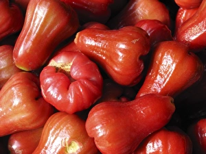 Southeast Asian Flora Drucke: Water apples
