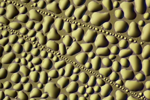 Light Microscopy Images Drucke: Water droplets, light micrograph