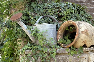 French Garden Scene Drucke: Watering can and broken pot