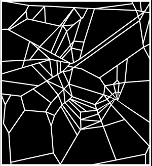 Drucke von Einfluss von Koffein auf Spinnen Computerartwork der Radweb des Gartenspinnennetzes (Araneus diadematus) nach dem Einwirken von Kaffee Bilder Datiert 2005 September: Spinne spinnt sich im Koffeinzusatz aus