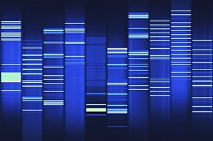 Visualisierung des Website-Quellcodes