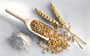 Agricultural Products Images Drucke: Wheat C014 / 1133