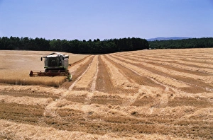 Farm Machinery Drucke: Wheat harvest