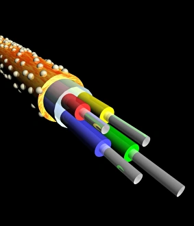 Drucke von Optisches Glasfaserbundle, Computerkunstwerk. Die Fasern werden verwendet, um Klang und Bilder in Form von Licht zu übertragen Bilder Datiert 2003 August: Weißes Licht, das durch ein Prismen passt