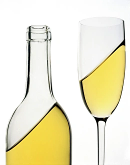 Wine Tasting Experience Drucke: White wine