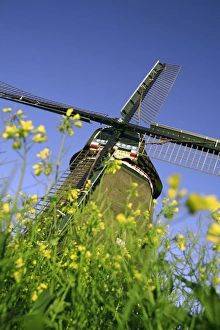 Windmill