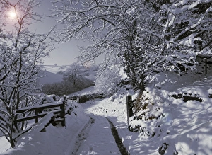 English Countryside In Snow Drucke: Winter on Exmoor