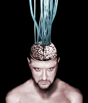 Future Technology Illustration Drucke: Wired brain