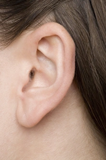 Human Ear Anatomy Drucke: Womans ear