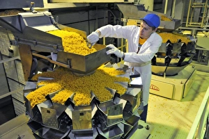 Bilder Datiert 3. Juni 2013: Arbeiter mit Pasta-Packmaschine C016/3642