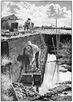 Sphagnum Moss Drucke: Workers excavating peat, artwork