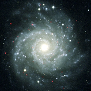 Teleskope Optisch Drucke: Quellen zur Röntgenstrahlung im Sternhaufen M74, Bild von der Chandra-Robotermission
