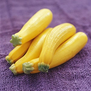 Vegetable Stock Photos Drucke: Yellow courgettes