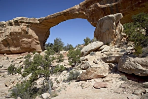 Natural Bridges National Monument Drucke: 27138_work
