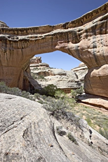 Rugged Rocky Terrain Drucke: 27142_work