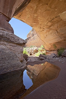 Natural Bridges National Monument Drucke: 27144_work