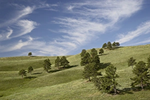 Rolling Hills Scenery Drucke: 27723_work