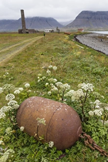 Abandoned Whaling Station Drucke: Abandoned whale shore processing station, Talknafjorour, Iceland, Polar Regions