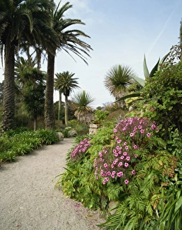 UK Outdoor Photography Drucke: Abbey Gardens