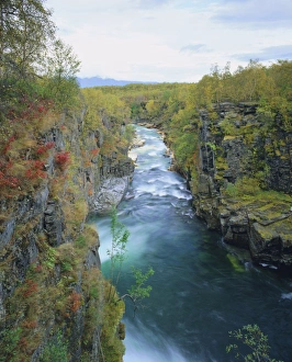 Scandinavian National Parks Drucke: Abisko River Gorge