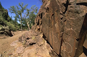 Aboriginal Rock Art Australia Drucke: Adnjamathanha Aboriginal engravings, Sacred Canyon, Flinders Range, South Australia