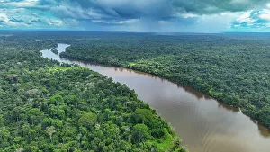 Surinam Drucke: Luftaufnahme des Surinamerivers bei Pokigron in der südamerikanischen Republik Surinam