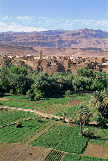 Morocco Travel Destination Drucke: Aerial view over fields