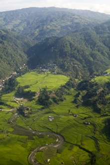 Mountainous Agricultural Land Drucke: Aerial view of rice fields at base of mountains