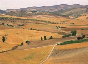 Andalucia Landscape Photography Drucke: Agricultural landscape of fields