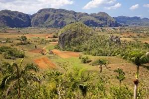 UNESCO World Heritage Site In Cuba Drucke: Agriculture in the dramatic Valle de Vinales, UNESCO World Heritage Site