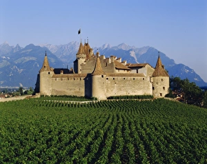 Central Europe Castle Views Drucke: Aigle Chateau and vineyard