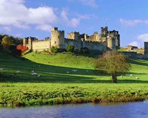 Northumberland Drucke: Schloss Alnwick, Alnwick, Northumberland, England